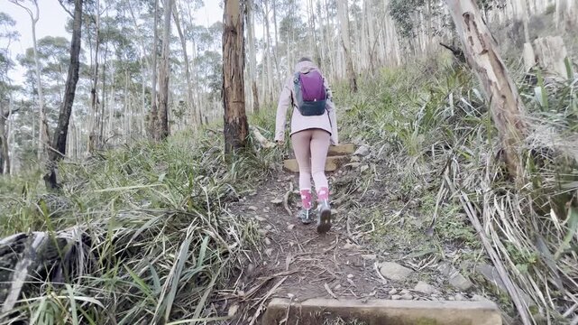 A girl hiker walks along the trail, admiring the dense, lush vegetation, on her way to the summit of Mount Macedon near Melbourne, Victoria, Australia.