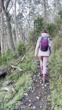 A girl hiker walks along the trail, admiring the dense, lush vegetation, on her way to the summit of Mount Macedon near Melbourne, Victoria, Australia.