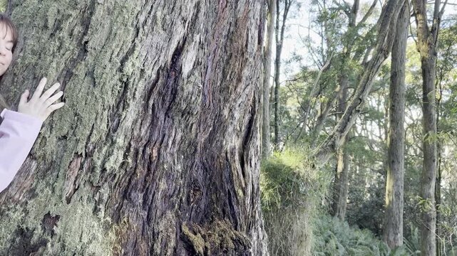 A girl hiker hugs the trunk of a large eucalyptus tree, connecting with nature along the trail to the summit of Mount Macedon near Melbourne, Victoria, Australia.
