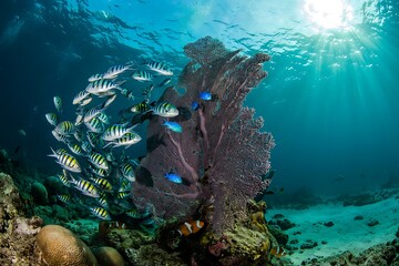 Ocean Coral Reef Ecosystem with Schooling Fish under Bright Sunlight © GraphixTreasure