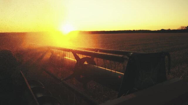 Modern technology in agribusiness and agronomy, harvester combine collecting rye . Rotating blades of harvesting machine cutting ripe wheat ears, beautiful agricultural fields in sunset or sunrise
