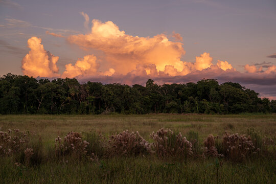 Beautiful view to sunset fields in the Pantanal of Miranda