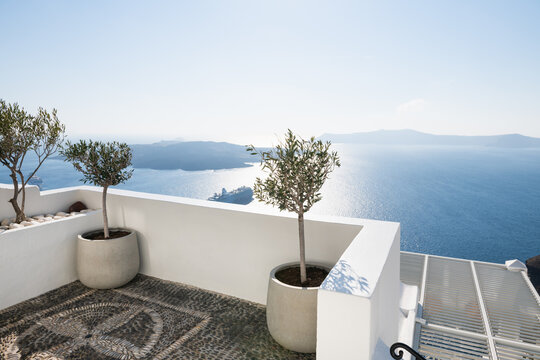 Trees on the terrace with sea view in Santorini island, Greece