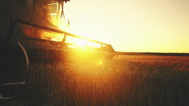 Modern harvester combine cutting ripe rye or wheat ears in agricultural fields. Closeup view of blades of harvesting machine in farmland, tradition and innovation in agribusiness, growing cereals