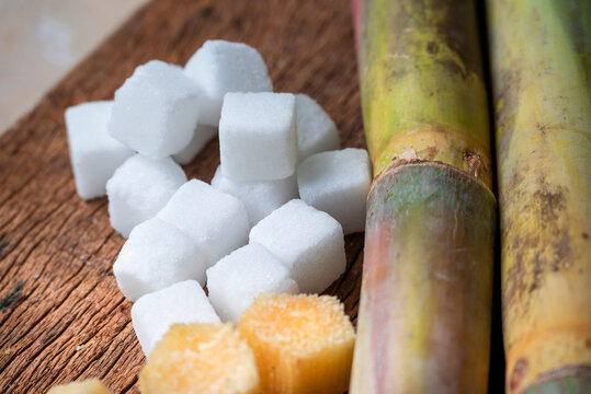 White sugar cubes in a bowl on wooden background. Cooking dessert ingredient