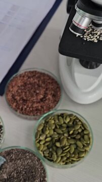 Microscope analysis of various seeds is taking place in a laboratory setting