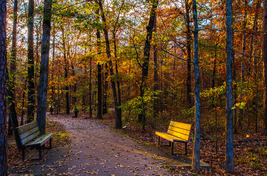 Pinnacle Mountain State Park in Arkansas State USA