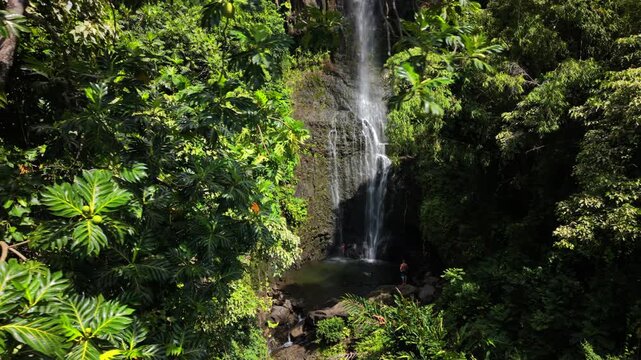Tropical waterfall cascading into emerald pool framed by lush breadfruit trees along road to Hanna on Maui Hawaii island USA with swimmers standing on volcanic rocks in rainforest canyon.