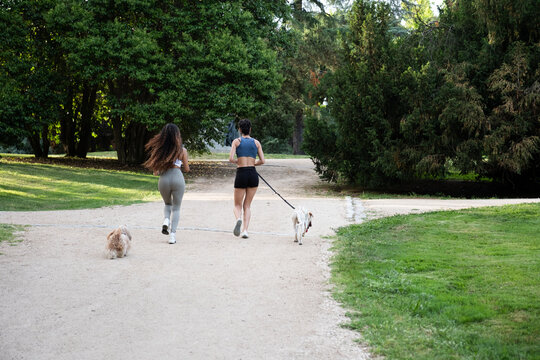 Two women running with dogs on a park path, maintaining an active lifestyle