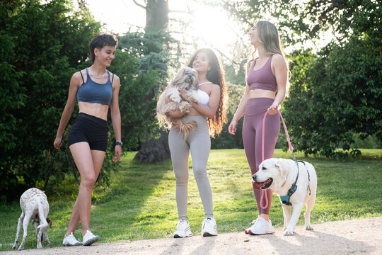 Cheerful women enjoying an outdoor stroll with their dogs, embracing friendship and fitness