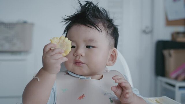 Asian baby boy eating boiled corn on high chair, BLW (baby-led weaning) concept, healthy solid food introducing to infant at home