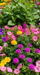 Fototapeta premium Vibrant flower bed overflowing with blooming petals of pink, purple, and yellow, surrounded by lush green leaves in a sunlit summer garden, blooming, petals, landscape