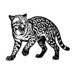 Obraz premium Black and white of a snarling ocelot wild cat leopard