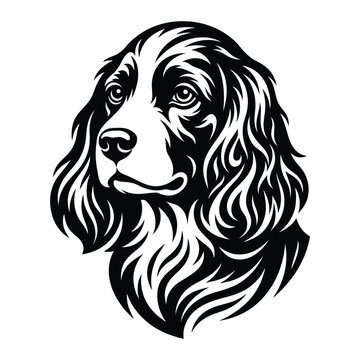 Black and white of a spaniel dog head canine animal