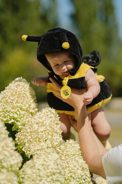 Cute baby in a bee costume exploring blooming hydrangeas in a sunny summer garden.