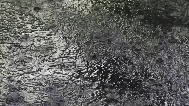 大雨が降る夜のアスファルト