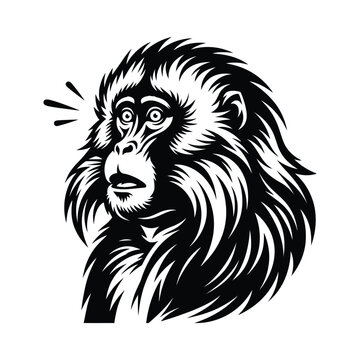 Black and white of a surprised japanese macaque monkey