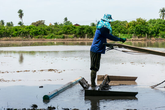 Farmer working flooded rice paddy while preparing muddy farmland traditional agricultural equipment for cultivation tropical rural landscape