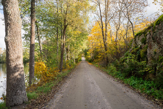Autumn forest road along peaceful lake with colorful trees and rocky landscape in Finland