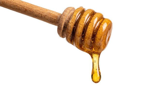 Wooden honey dipper dripping sweet golden syrup for organic food and dessert cooking.