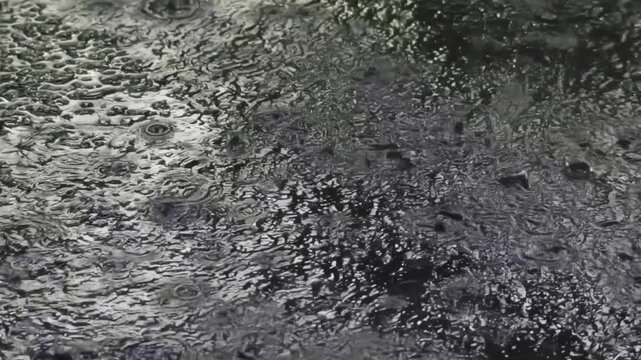 大雨が降る夜のアスファルト
