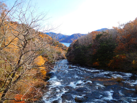 Autumn Mountain Stream and Lake Chuzenji Near Ryuzu Falls