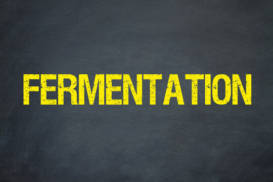 Fermentation