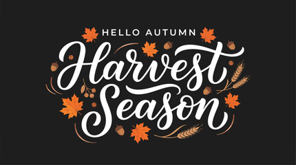 Harvest Season hand lettering with Hello Autumn text, fall foliage vector illustration, seasonal greeting card design on dark background © sidra