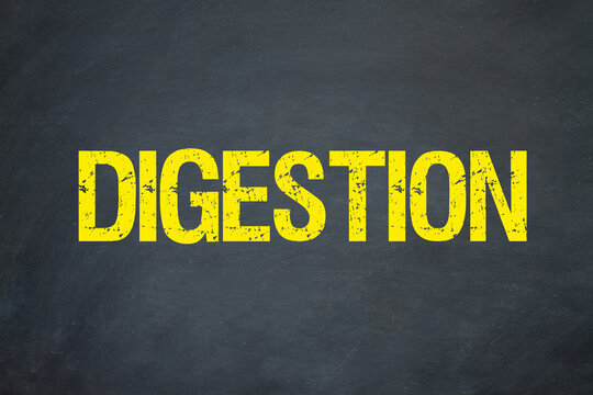 Digestion