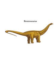 Brontosaurus Dinosaur Scientific Illustration Isolated on White Background  © Jihua