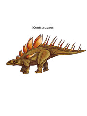 Kentrosaurus Dinosaur Scientific Illustration Isolated on White Background © Jihua