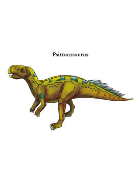 A standing Psittacosaurus from the age of dinosaurs.