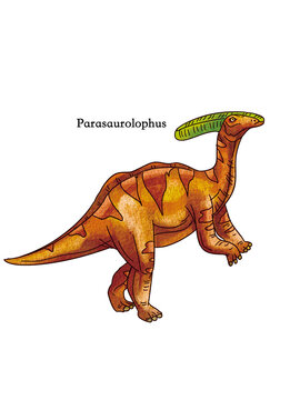 A standing Parasaurolophus from the age of dinosaurs.