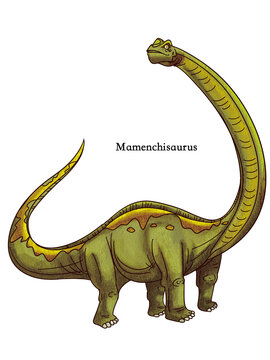 A standing Mamenchisaurus from the age of dinosaurs.