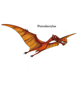A flying pterosaur from the age of dinosaurs.