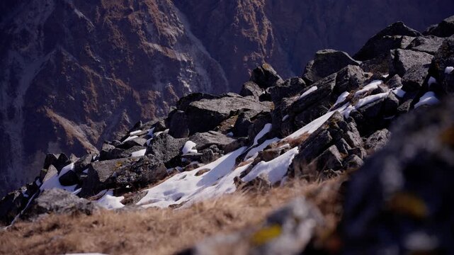 Close up shot of patchy snow melting between jagged grey rocks on a sunlit ridge with dried golden grass and distant shadowed mountain wall