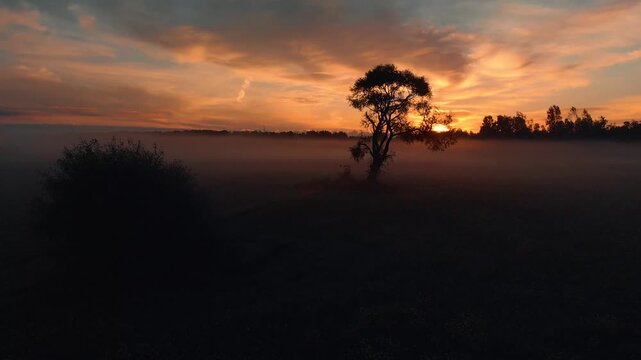 sunrise
