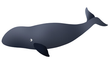 sperm whale © mintra