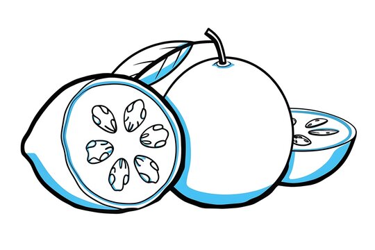 Cut guava fruit showing seeds and flesh with leaf