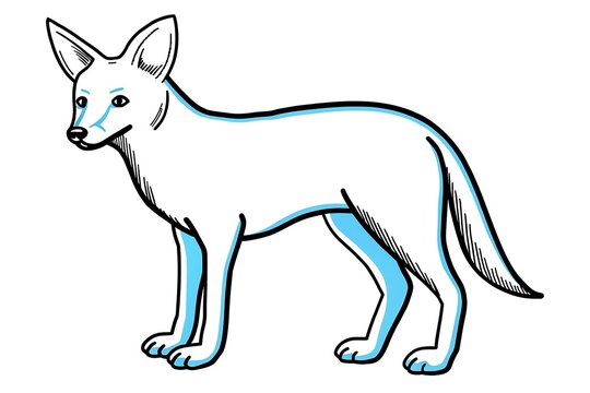 Illustration of a dingo dog standing alone