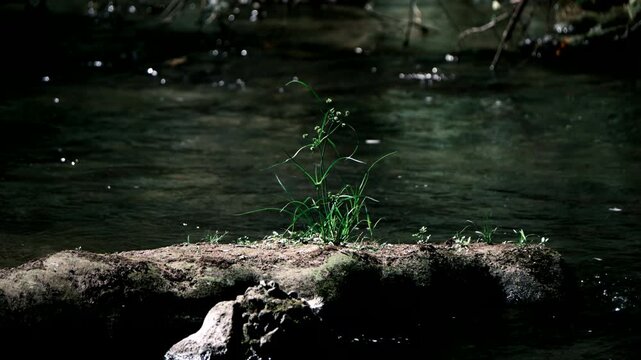 穏やかな川の流れの風景