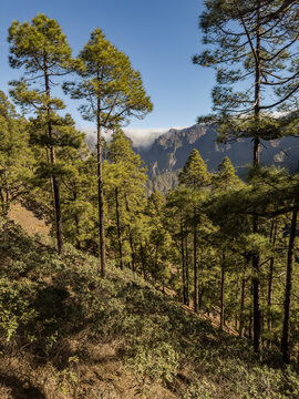 View onto the Caldera de Taburiente from the hike from Mirador La Cumbrecita to Mirador Lomo de las Chozas on La Palma, Canary Islands, Spain.