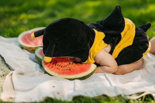 Baby in bee costume lying on blanket eating fresh red watermelon slice during summer picnic on green grass outdoors, childhood concept.