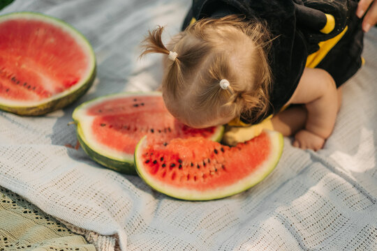 Baby in bee costume lying on blanket eating fresh red watermelon slice during summer picnic on green grass outdoors, childhood concept.