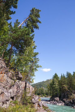 A clear turquoise mountain river winds past rocky cliffs and tall pine trees, framed by green forested hills and a bright blue sky, evoking tranquility, adventure and pristine wilderness