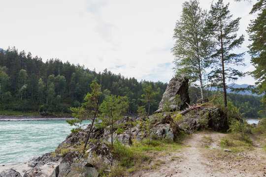 A rocky riverside path winds past pine and birch trees beside a turquoise river, framed by dense forested hills, offering a peaceful, scenic setting ideal for hiking, nature photography