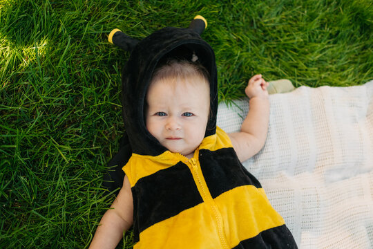Cute baby in bee costume lying on green grass lawn during outdoor summer picnic, top view portrait, childhood concept.