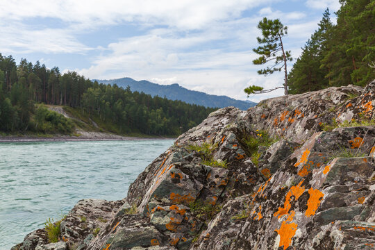 A rugged rocky riverbank dotted with bright orange lichen and small pine trees beside a flowing turquoise river, framed by dense forest and distant blue mountains under a partly cloudy sky