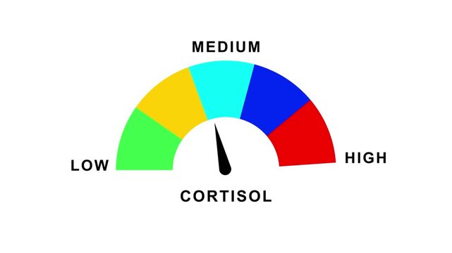 Cortisol stress level gauge meter showing high measurement isolated on white background