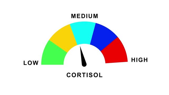 Cortisol stress level gauge meter showing high measurement isolated on white background